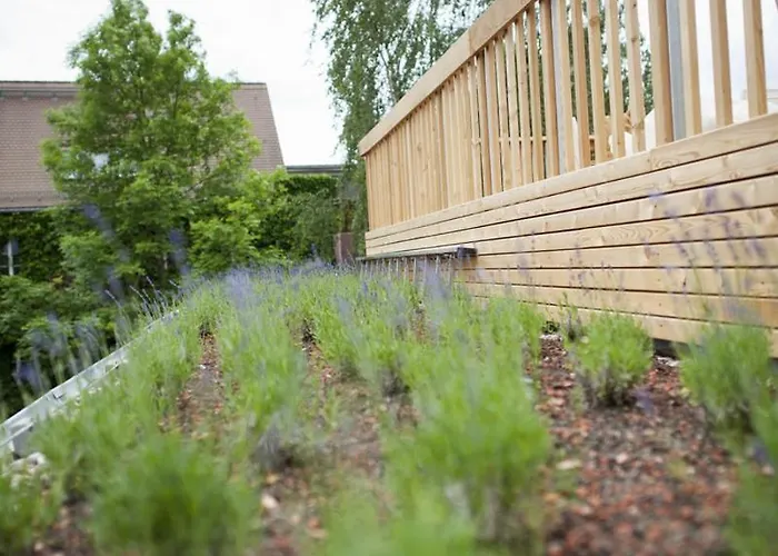 Ξενοδοχείο με διαμερίσματα Mit 4*